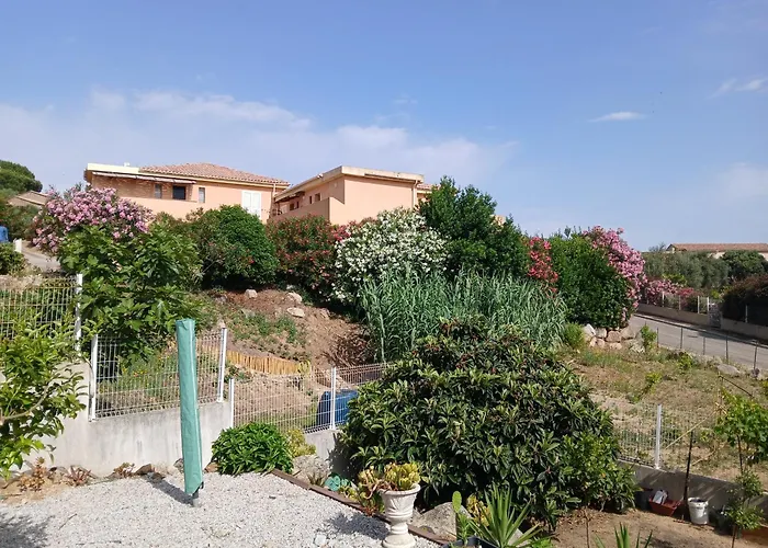 Grand Appartement Calvi (Corsica)